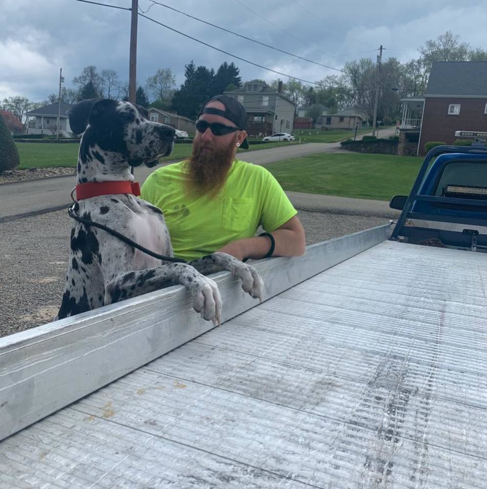 Meet your Posher, Tyler